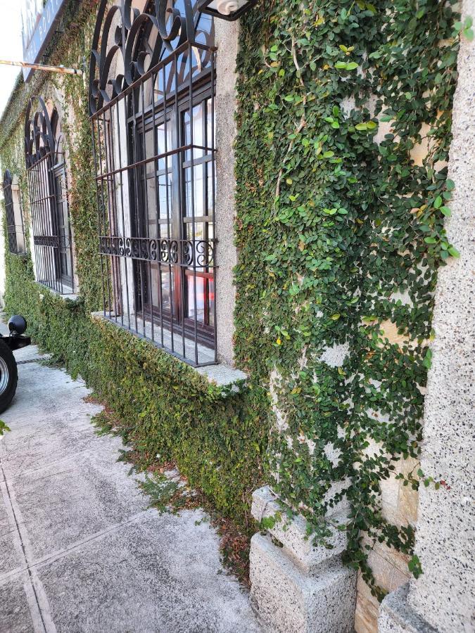 סאן סלבדור Hotel Villa Antigua מראה חיצוני תמונה